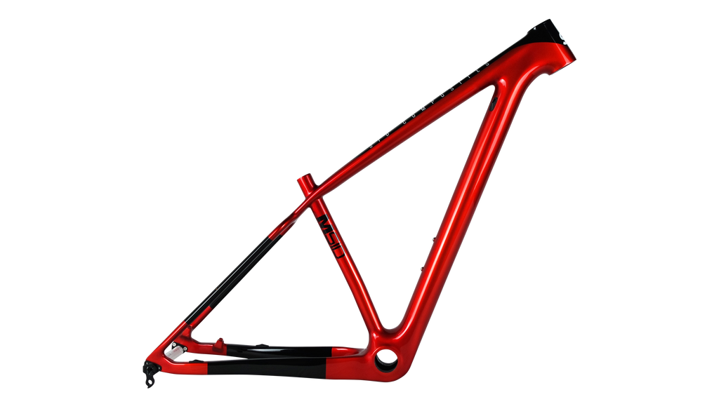 Black mountain bike 2024 frame